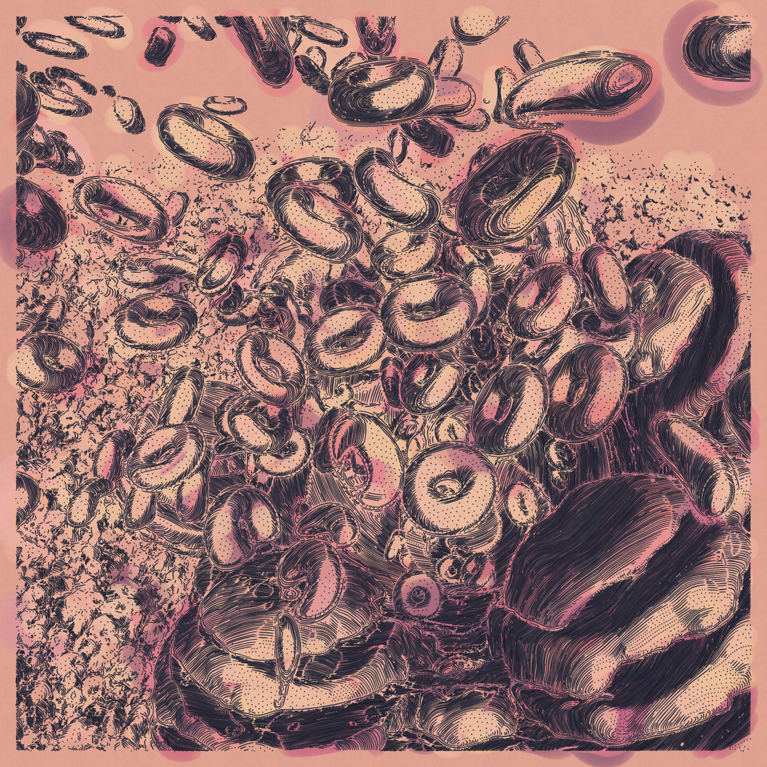 Release #301