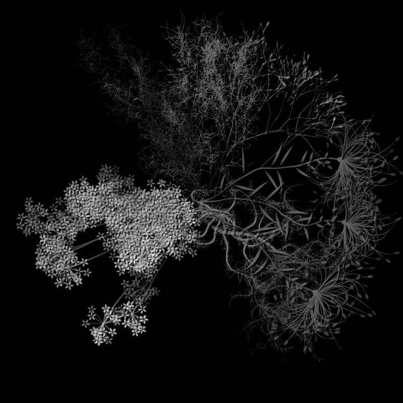 Botanical Ghosts #344