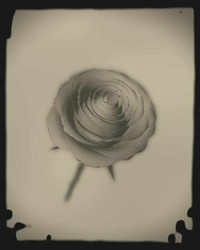 Rose 1851 #21