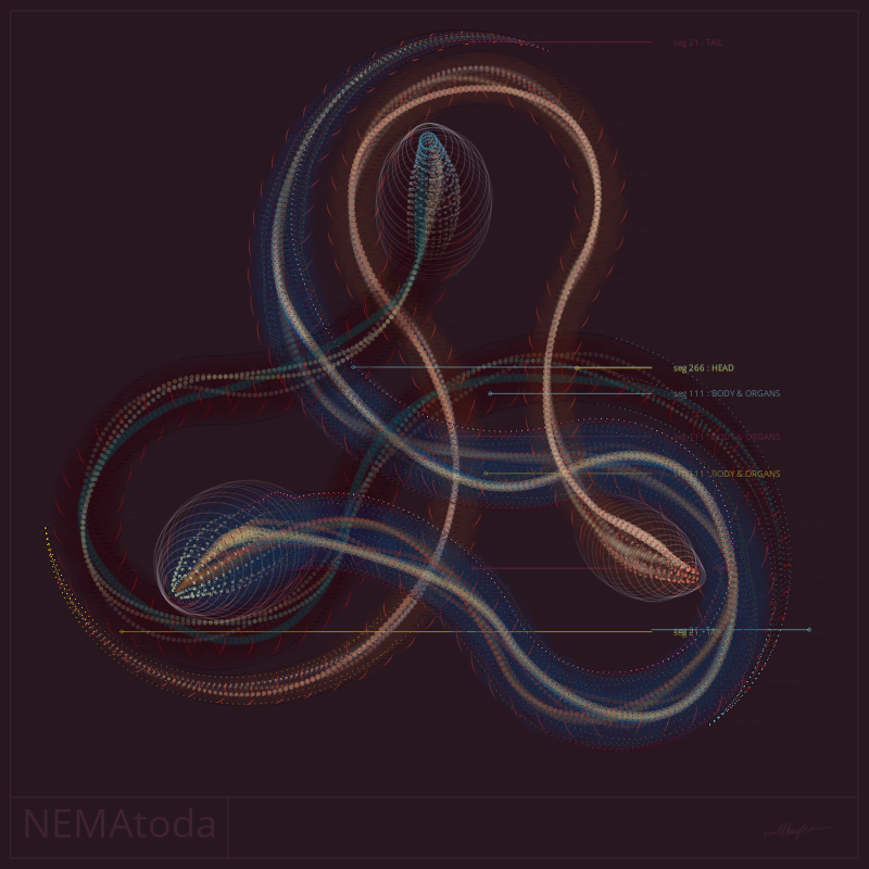 NEMA #73