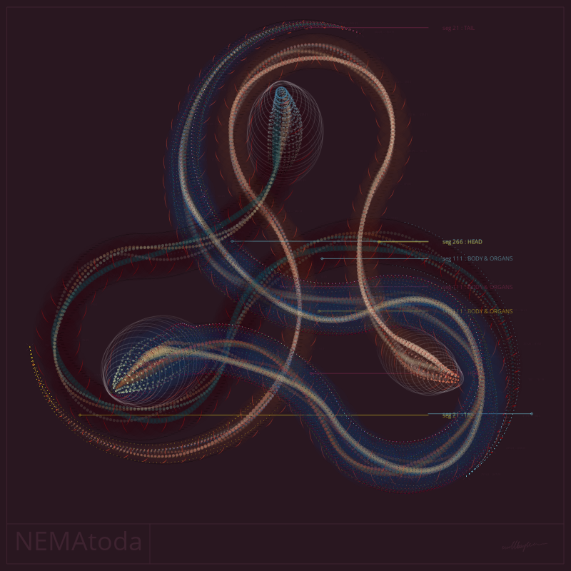 NEMA #72