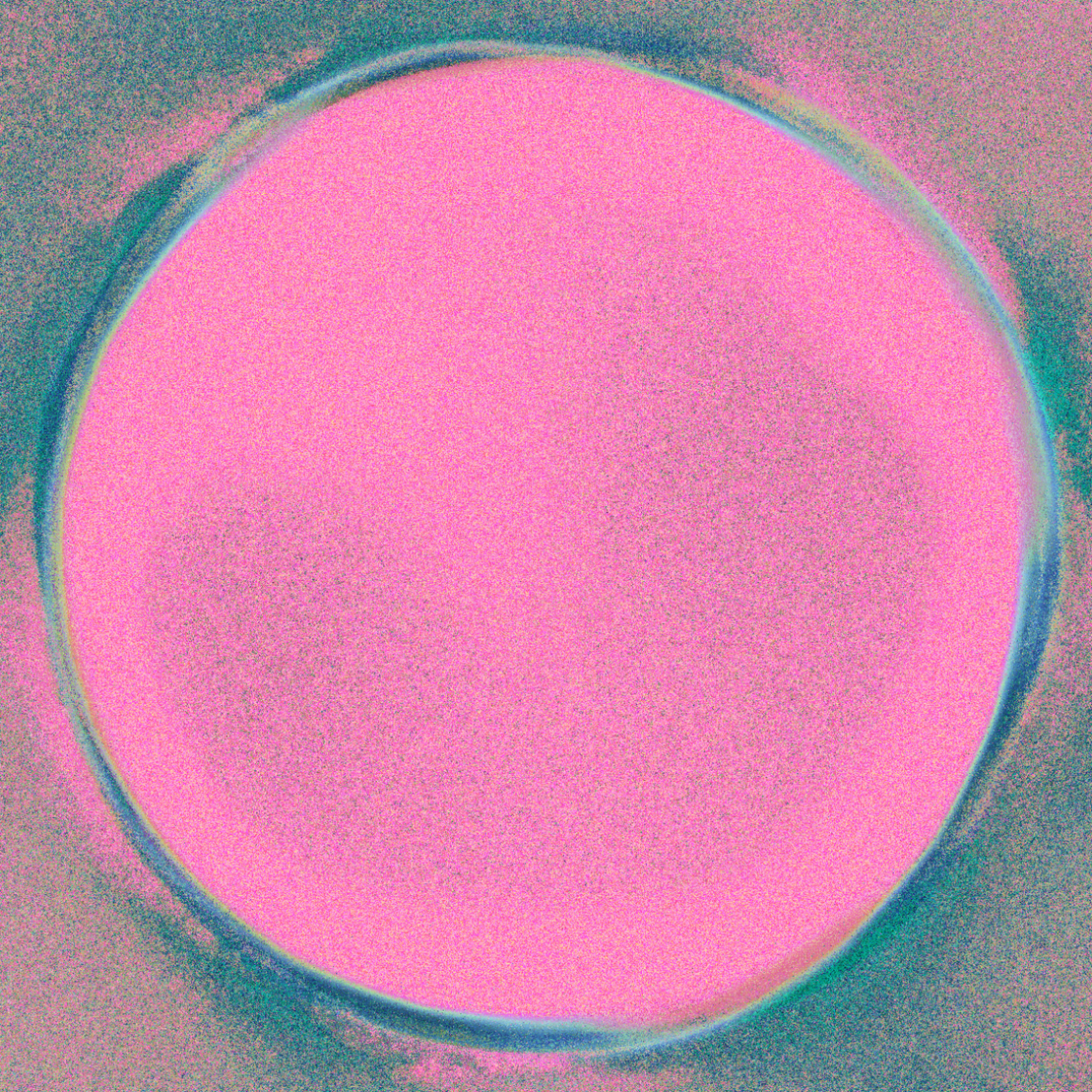 ⊗⊕⊗⊕ #43
