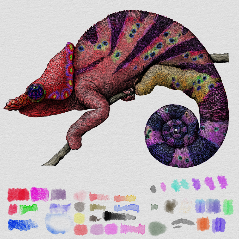 Colorful Cameleon #11