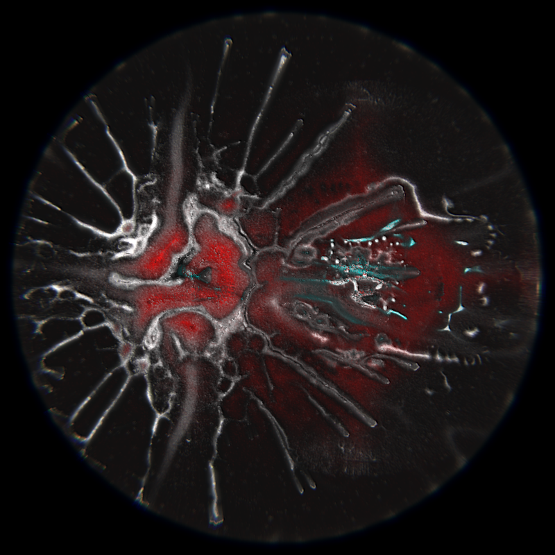 Ethereal Microcosm #132