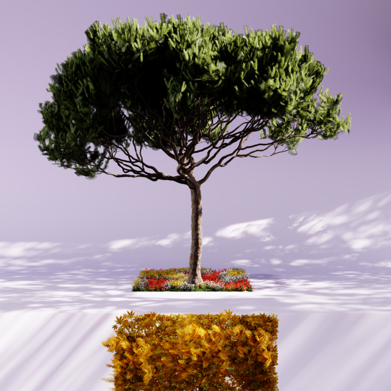 Nature rooms #24