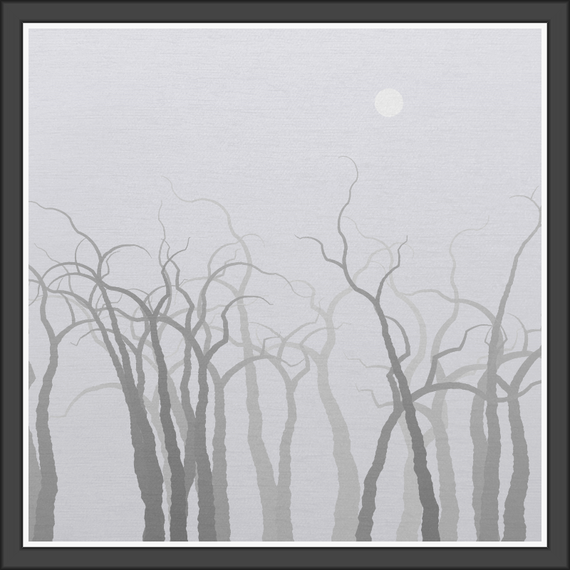 The Foggy Trees #154