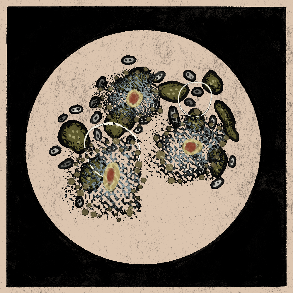 Microbes #8