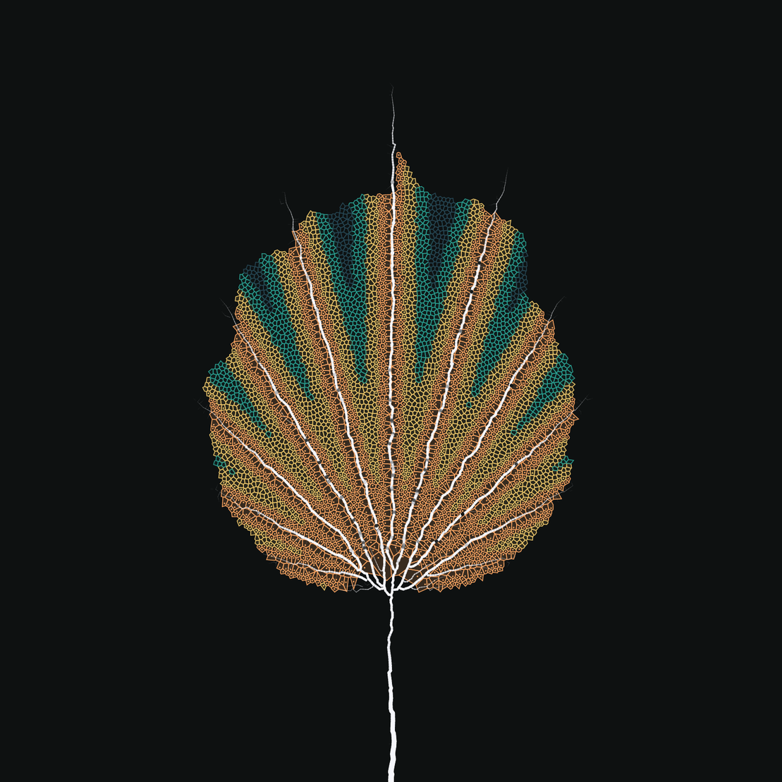 Leaf study #19