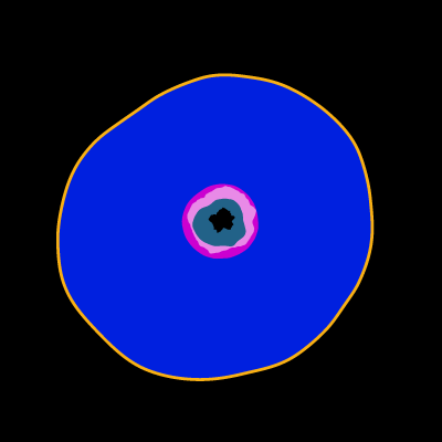 Black Hole Cell #1