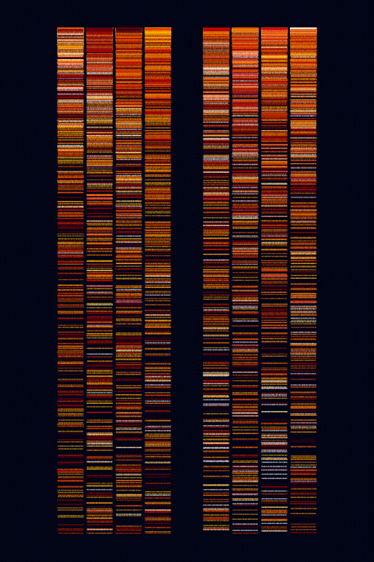 Sequence #187