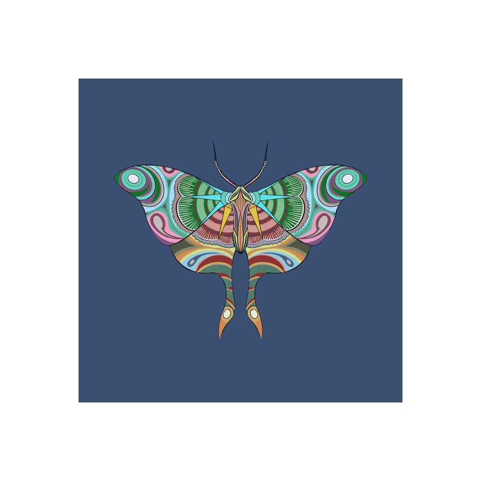 The Moth Experiment #11