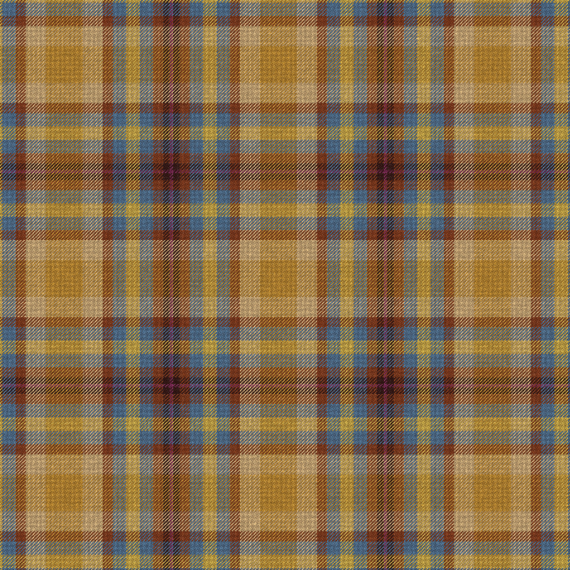 Tartan Cloth #29