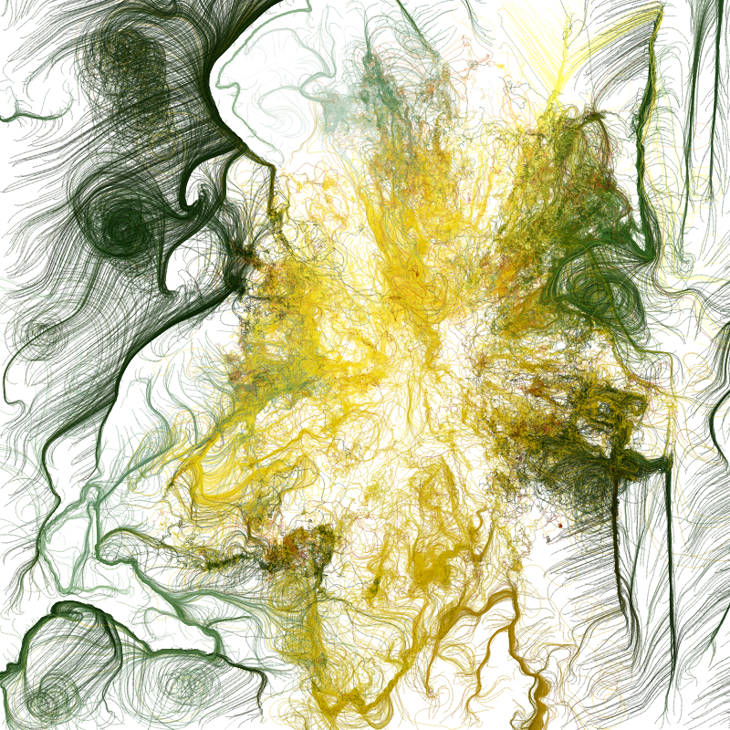 Hypericum #40