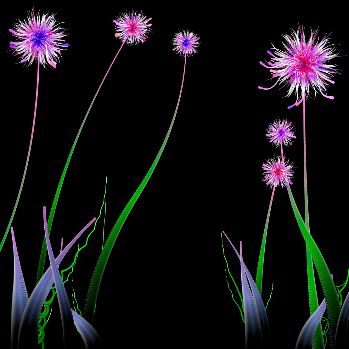 Milena’s Flowers #33