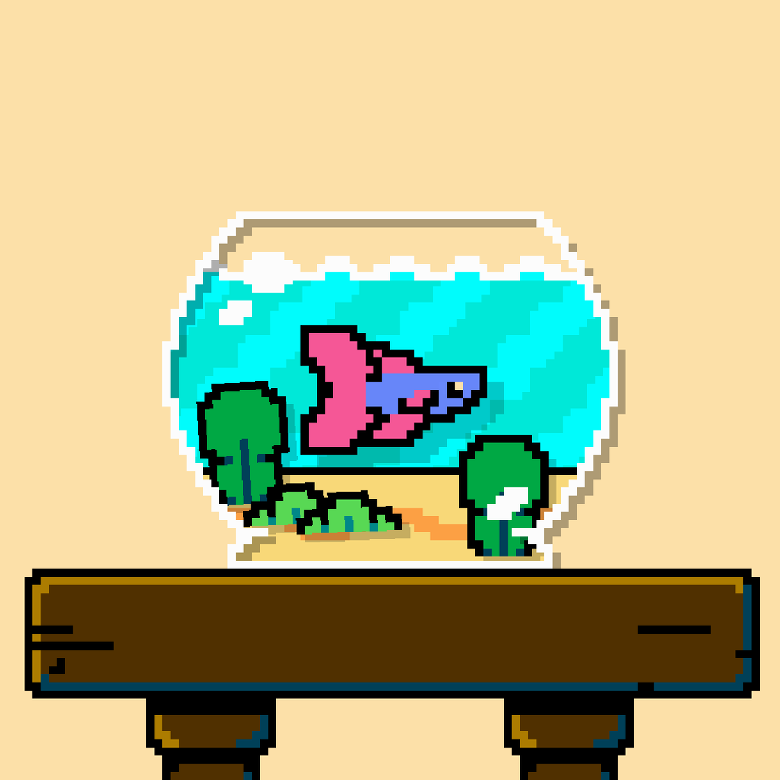 betta fish #432