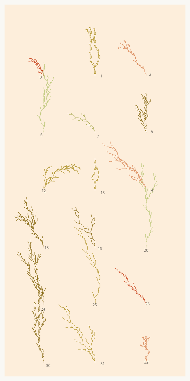 Seaweed Study #6