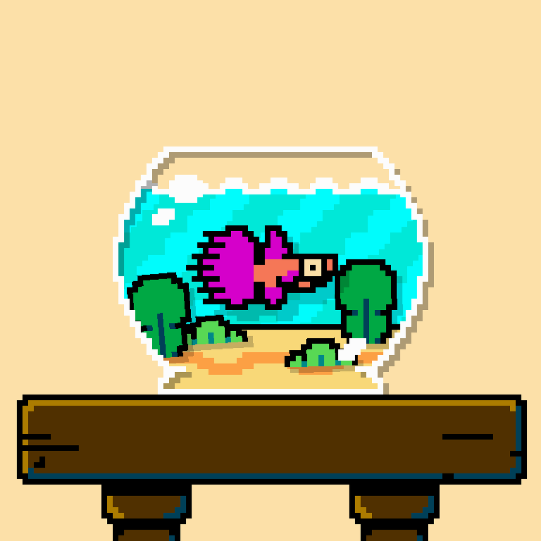 betta fish #348