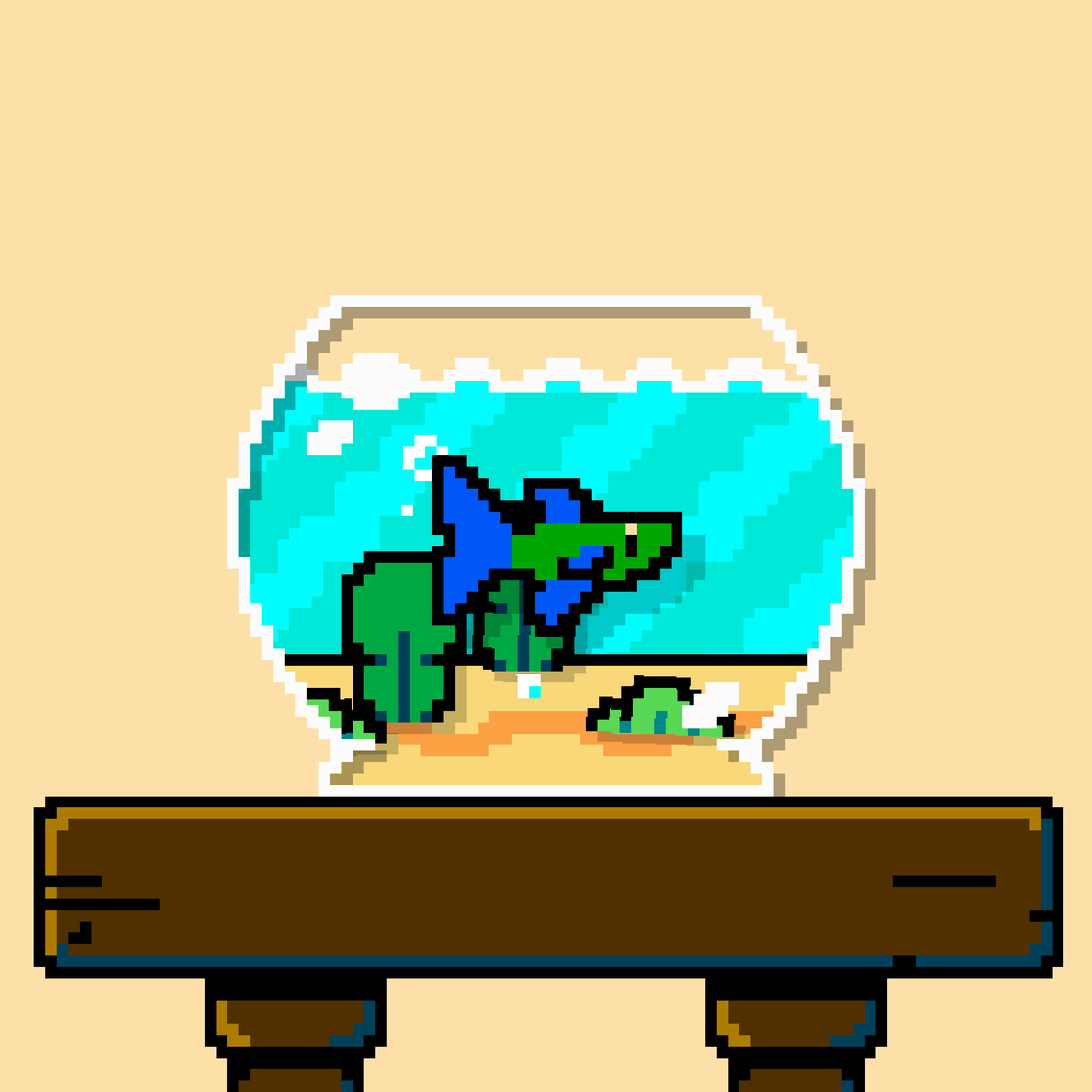 betta fish #66
