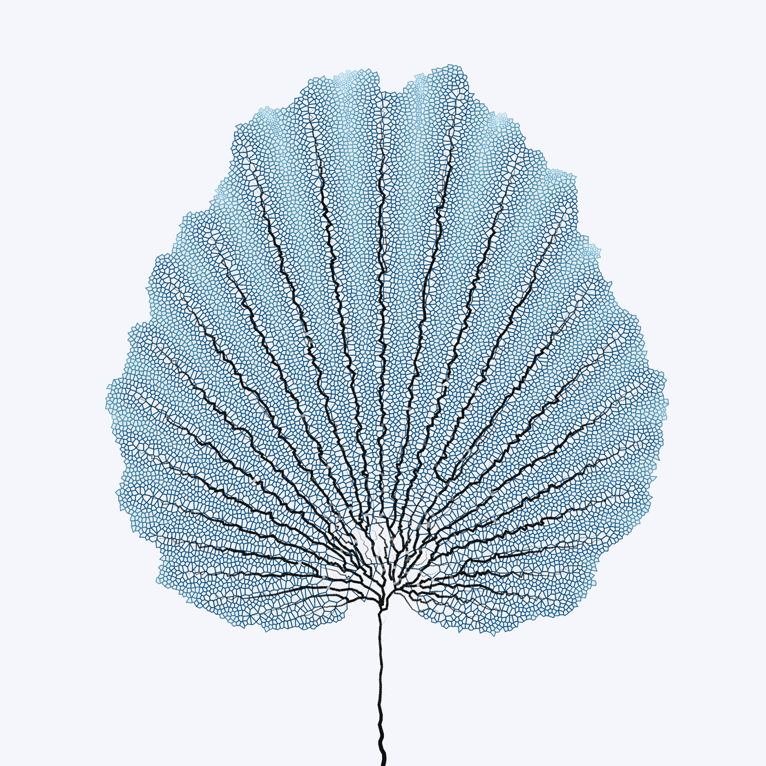 Leaf study #7