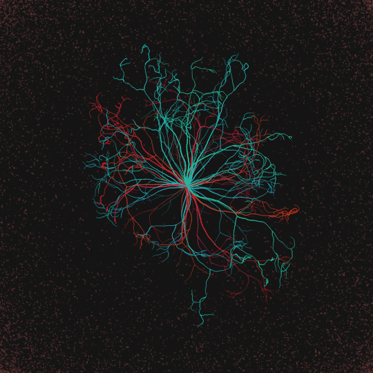 nuclear decay #5