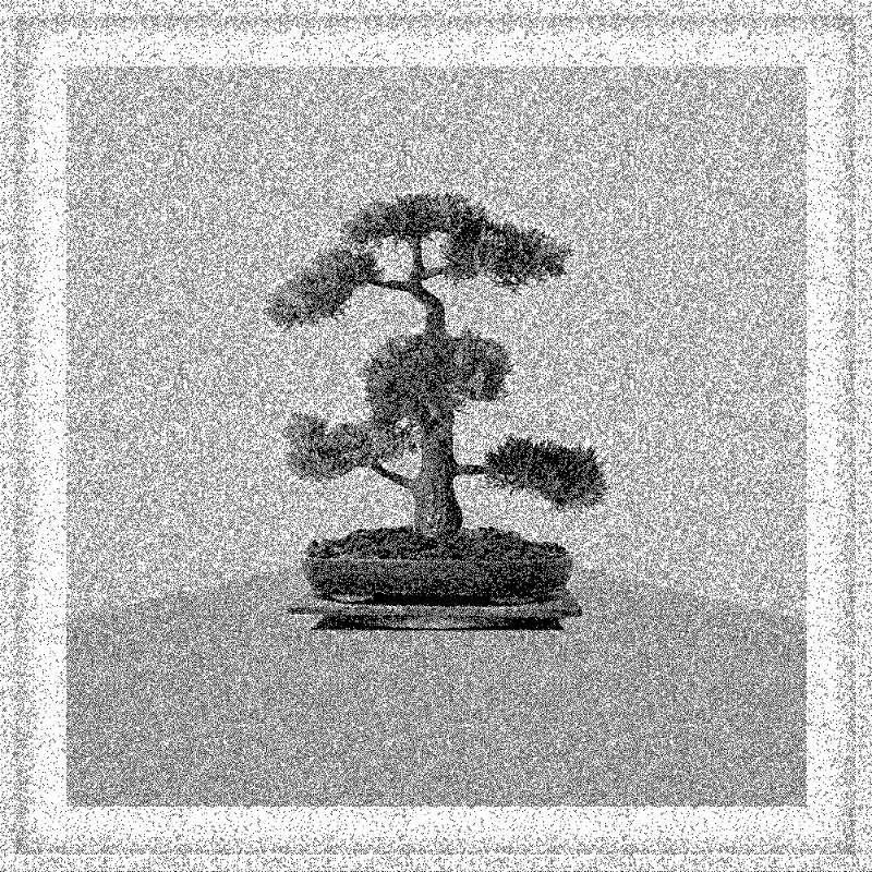 Bonsai Bonanza #600