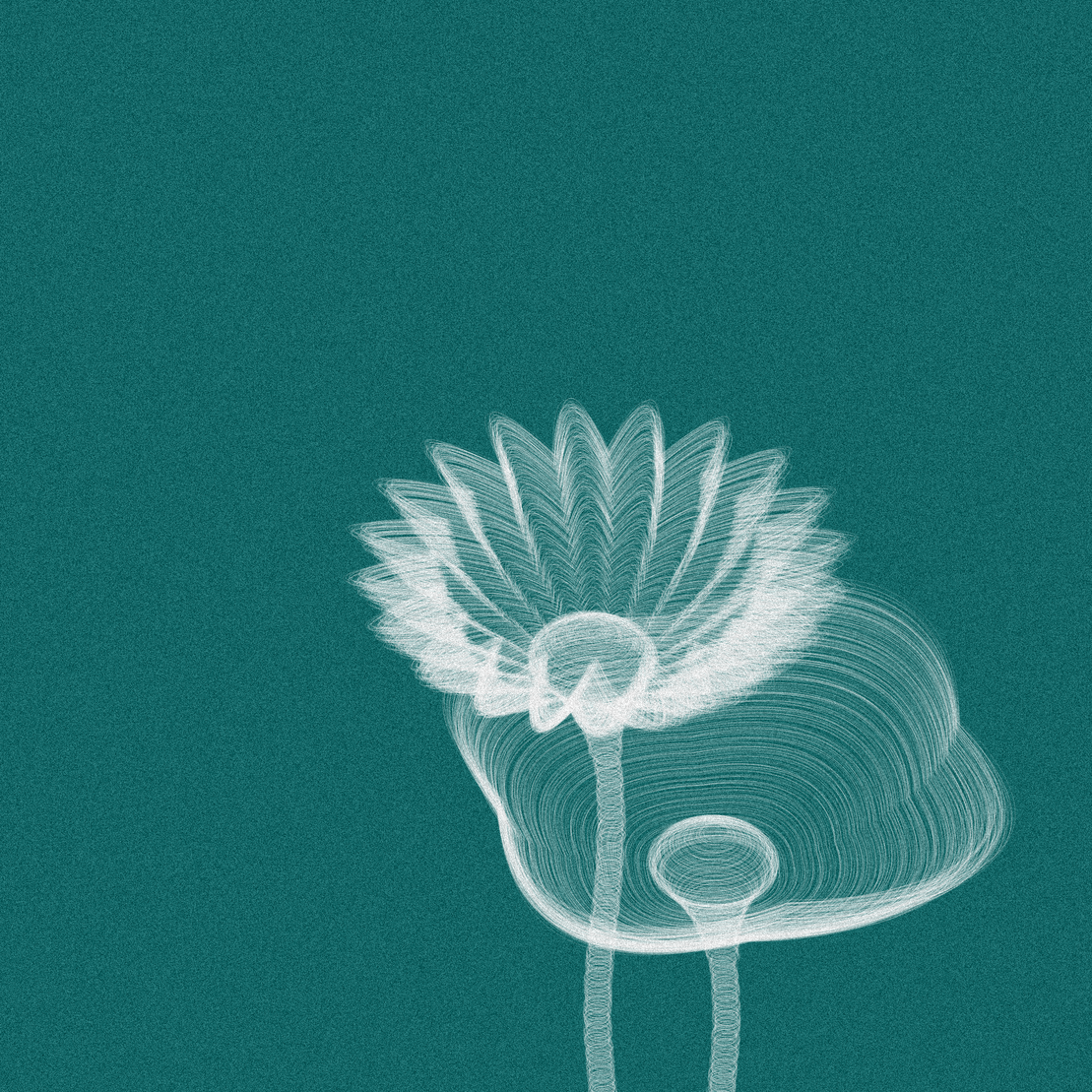Code Flowers #29