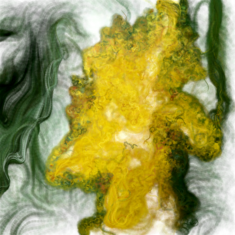 Hypericum #36