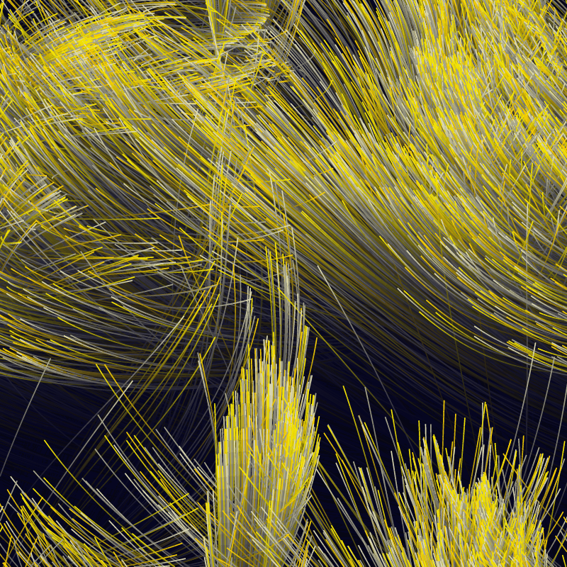 Strange Attractor Swarm #31