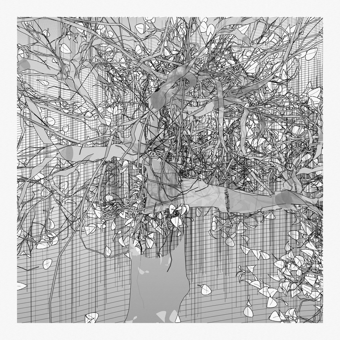 A Bugged Forest #647