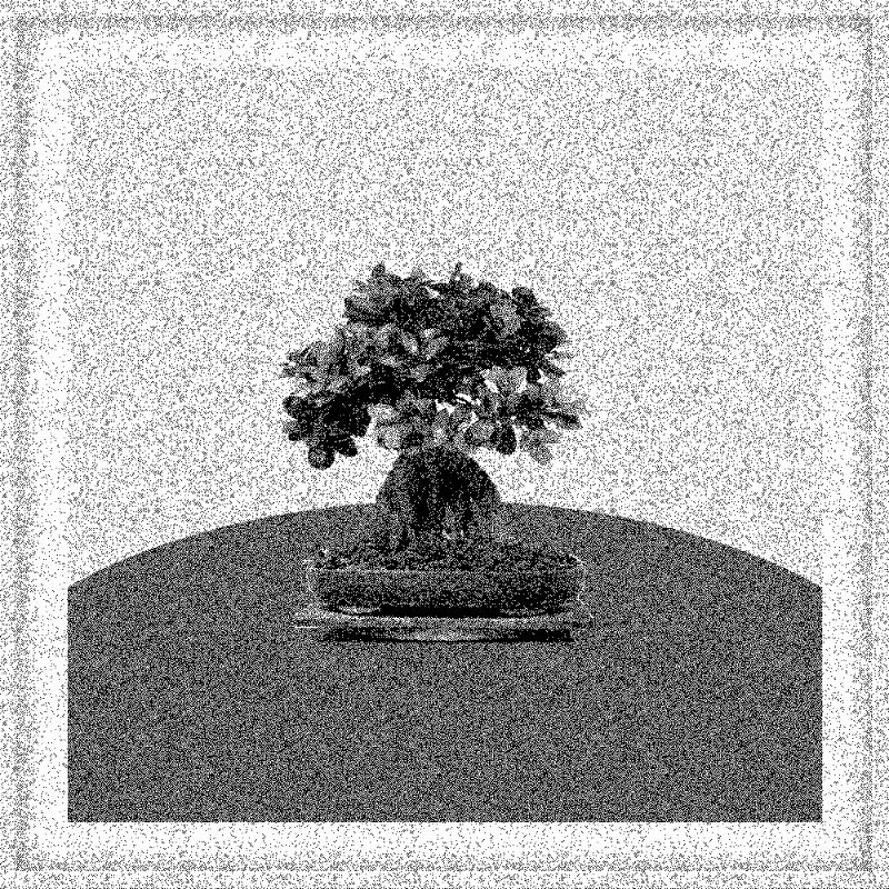 Bonsai Bonanza #806