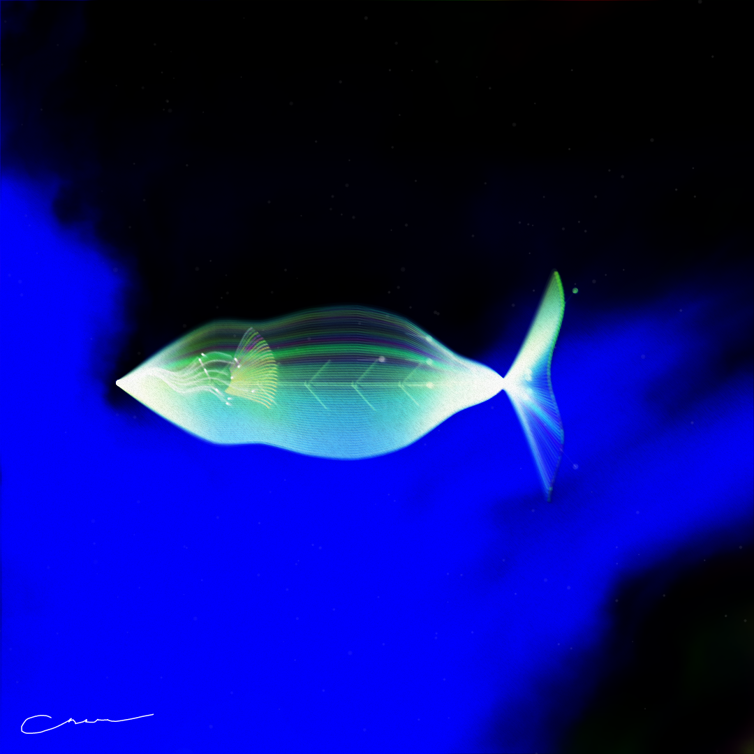 SoulFish #327
