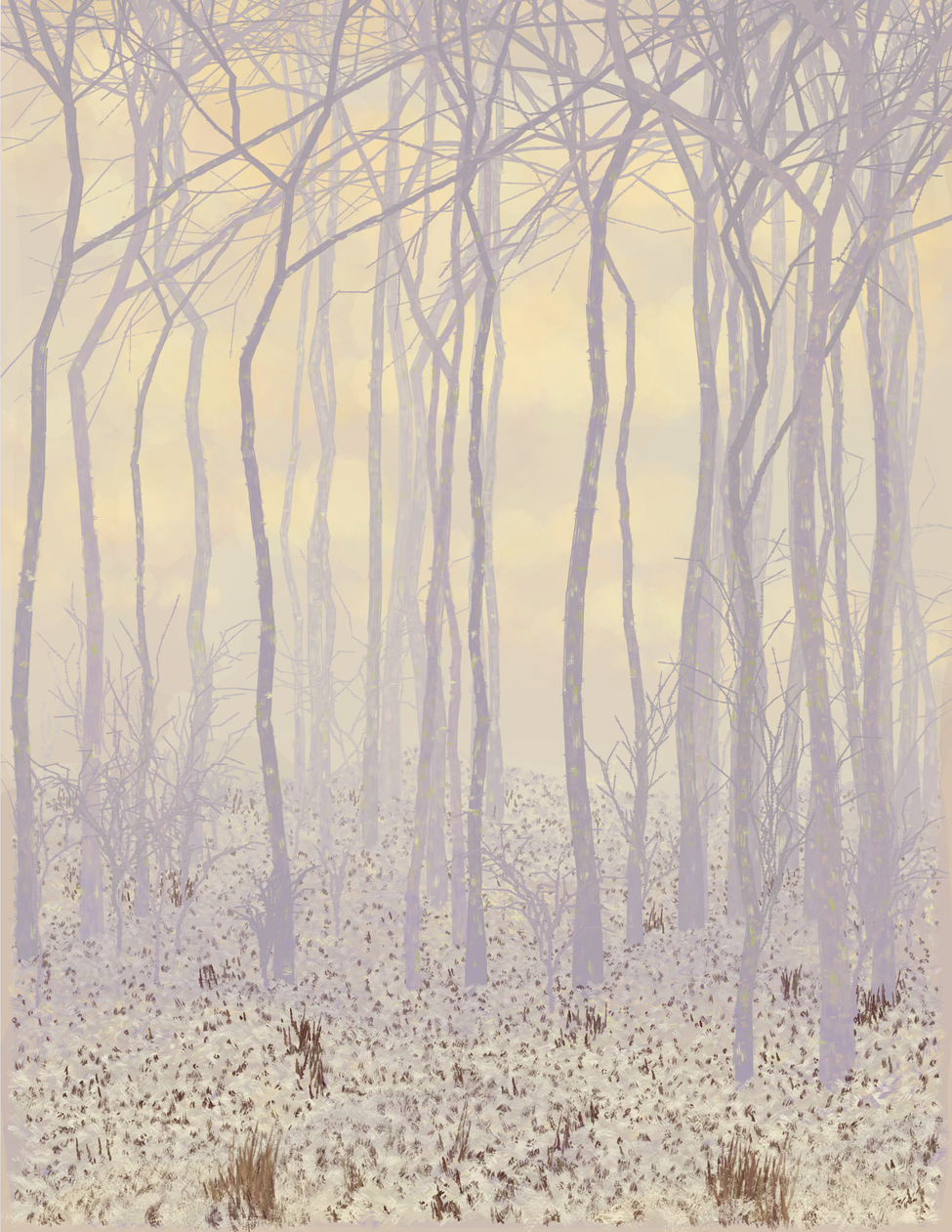 Deep Forest #226