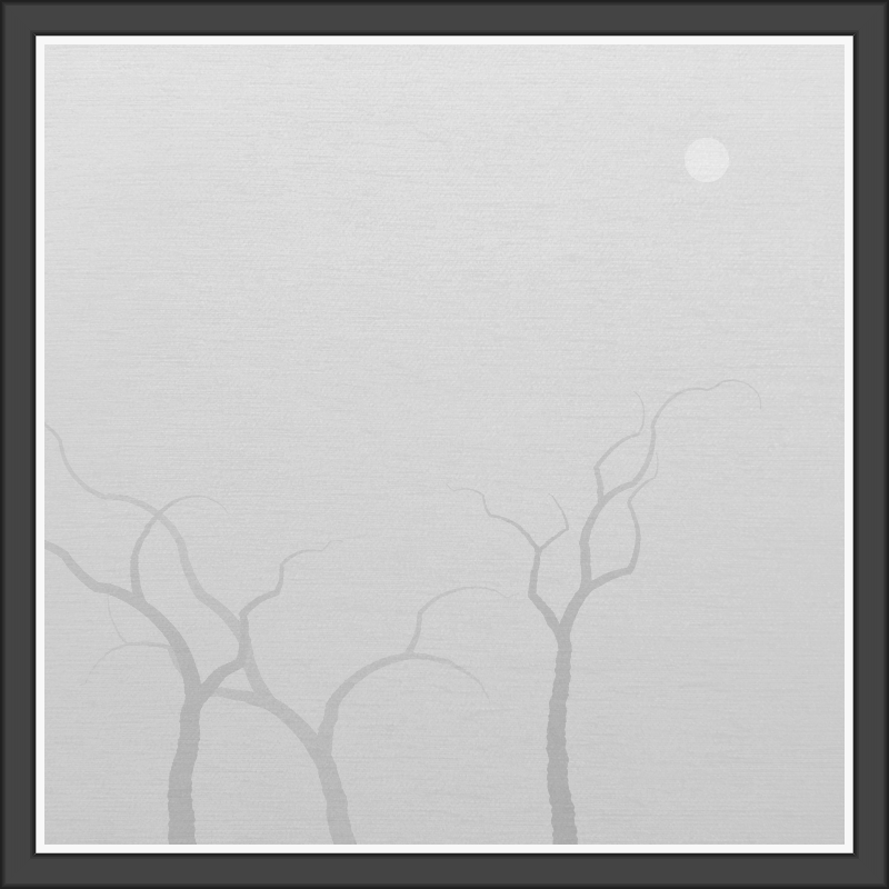 The Foggy Trees #64