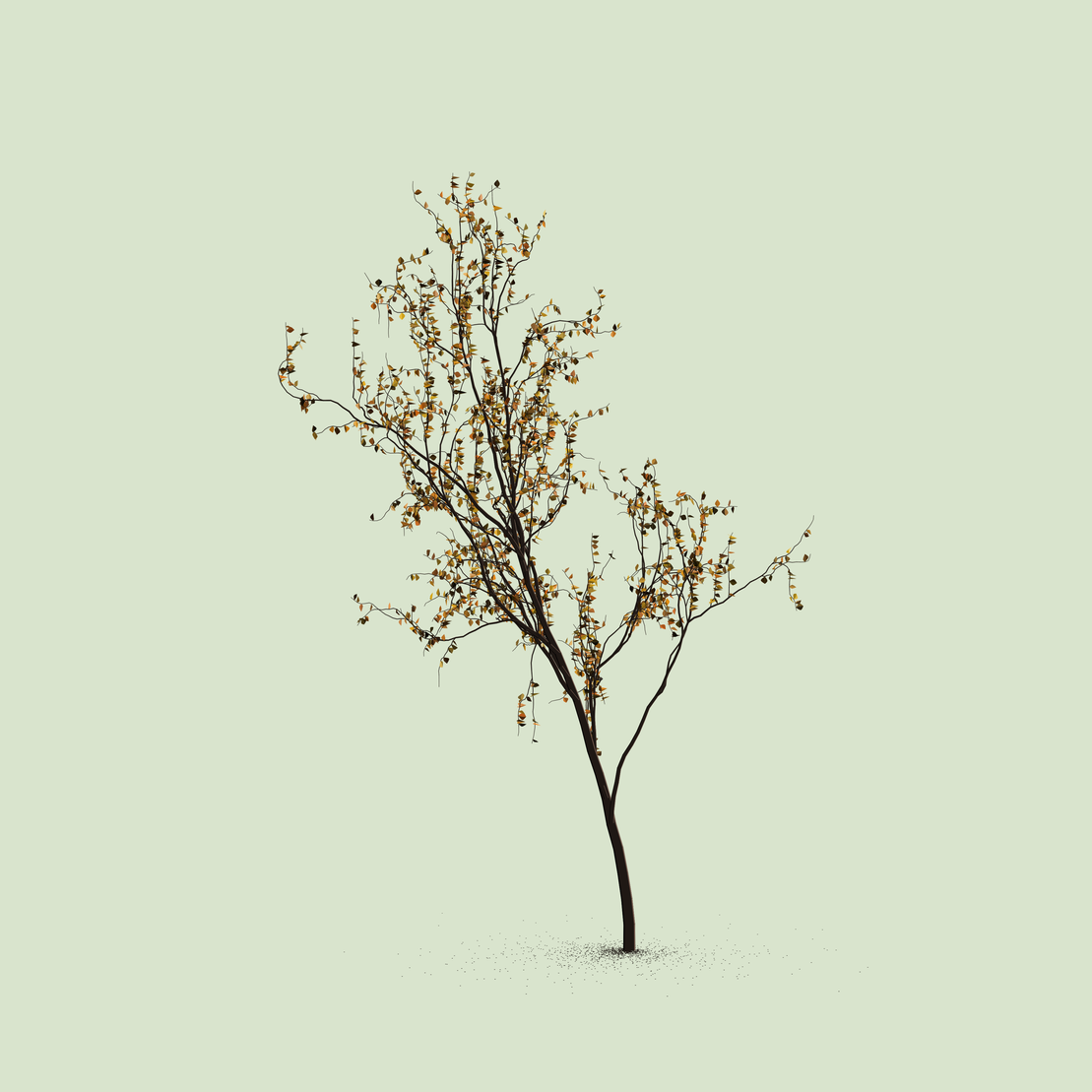 Little Trees #81