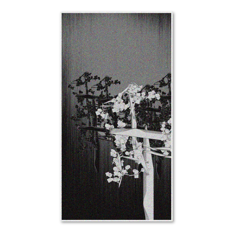 Branches #173