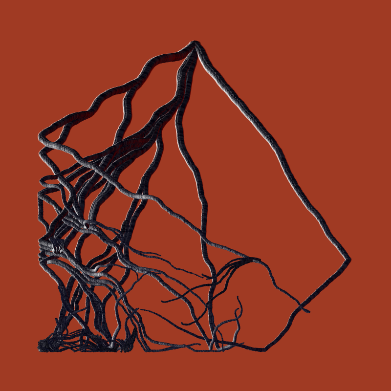Root #116