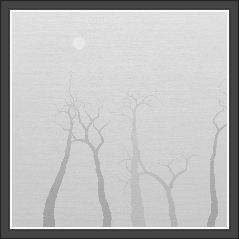 The Foggy Trees #66