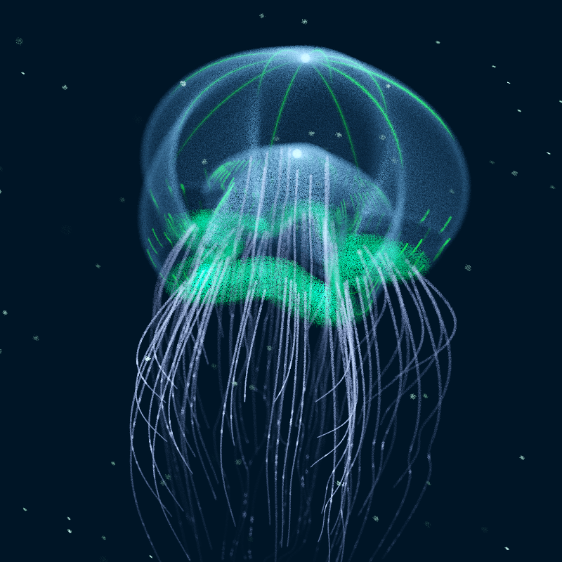 Creatures of the Deep #1 - The Jellyfish #9