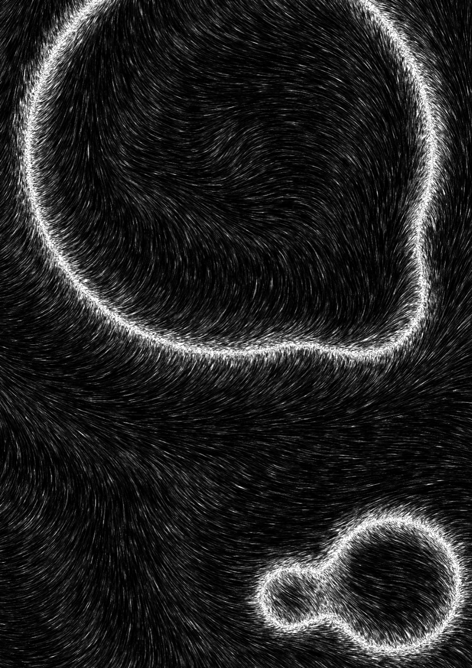 Flux #42