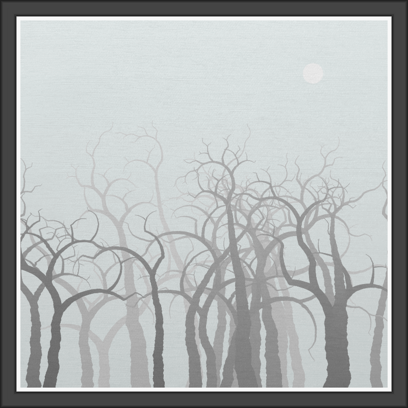 The Foggy Trees #4