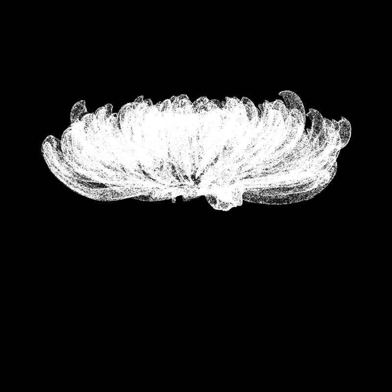 Chrysanthemum Morifolium 30 #62