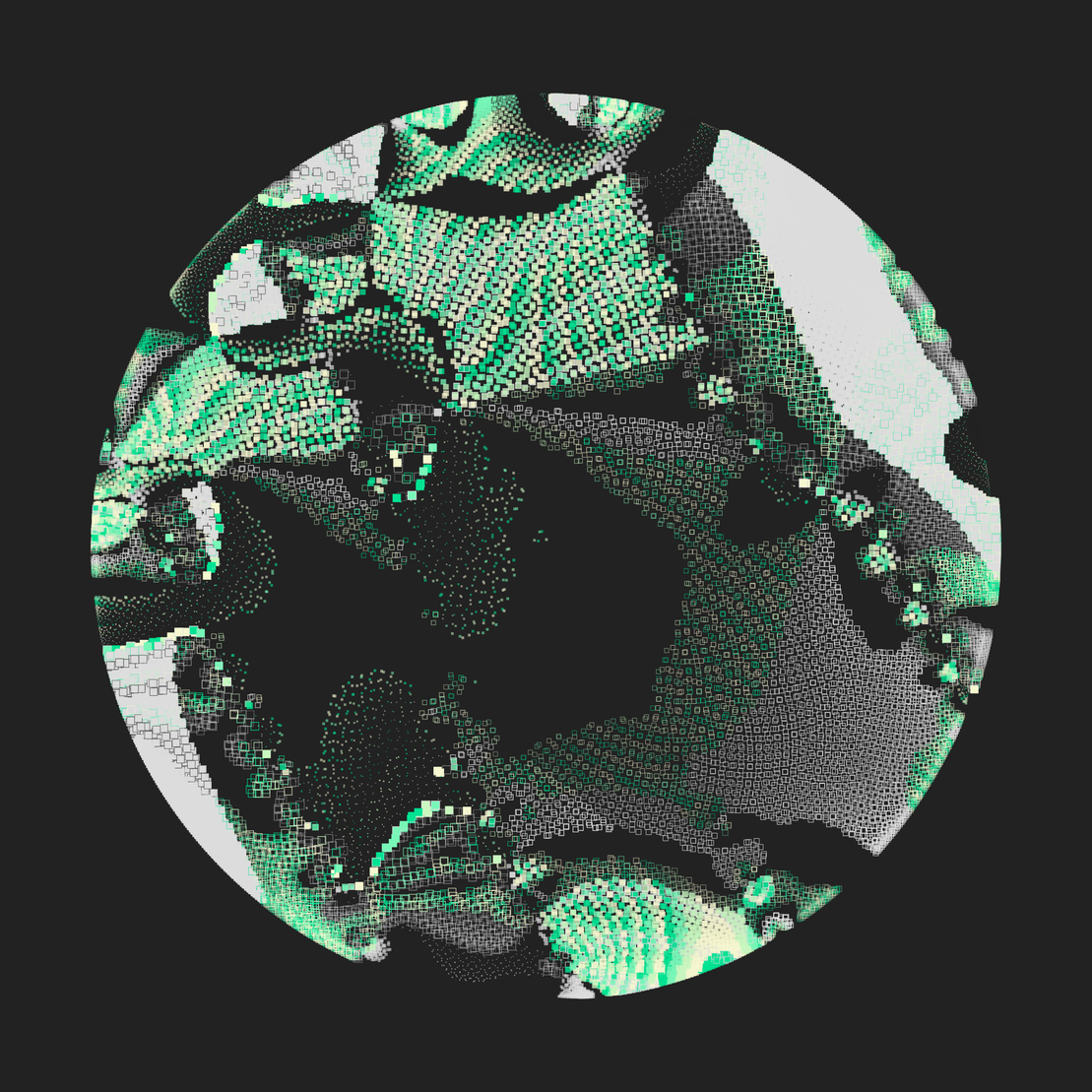 Still C #331