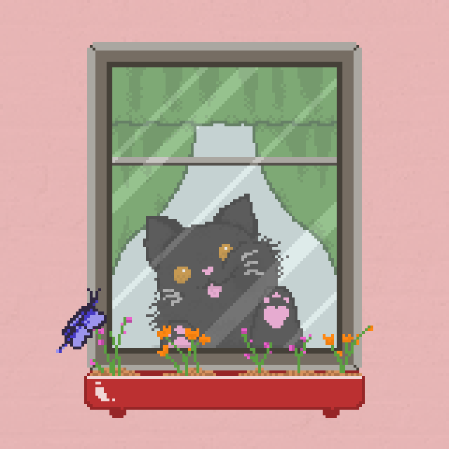 Window Catz #7