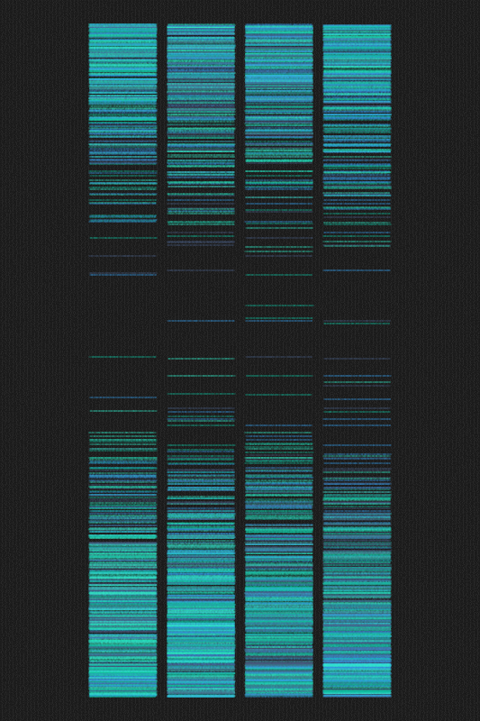 Sequence #481