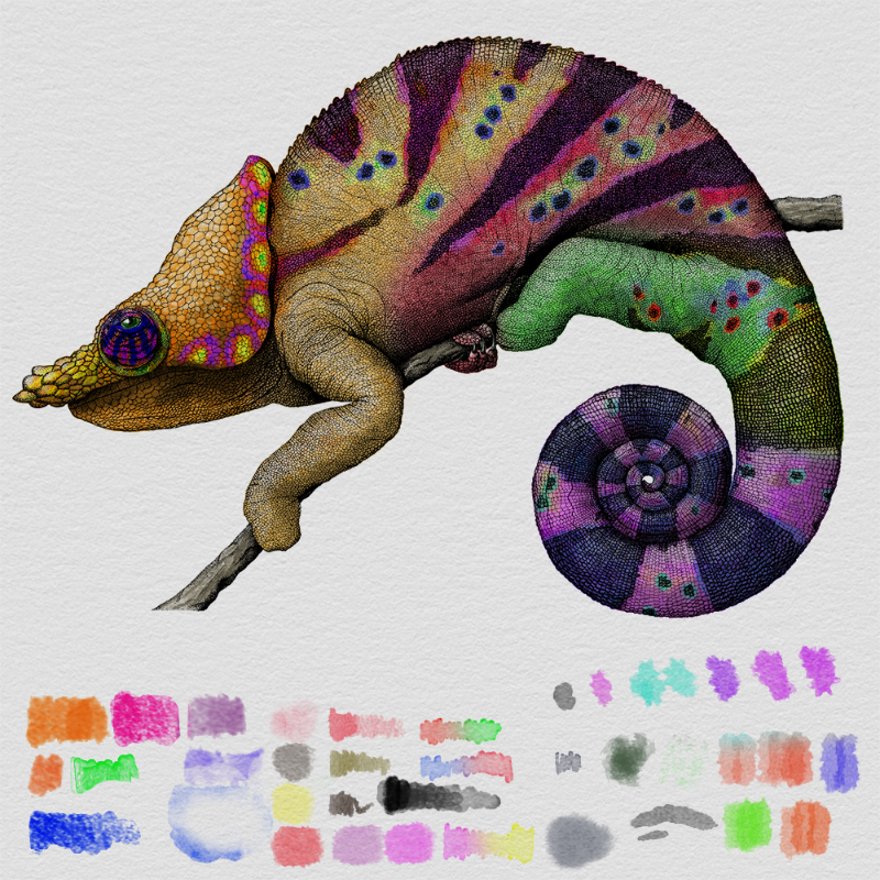 Colorful Cameleon #25