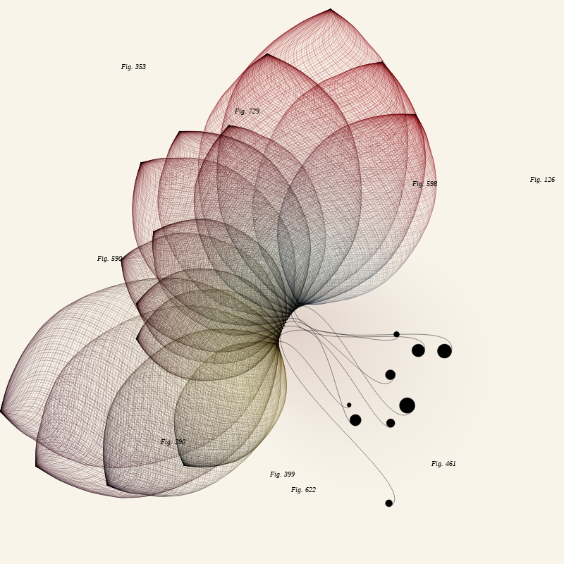 Herbarium #262