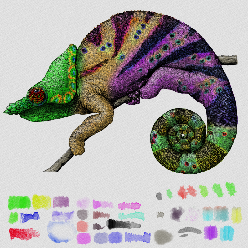 Colorful Cameleon #21