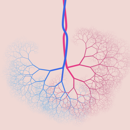 capillary trees #2