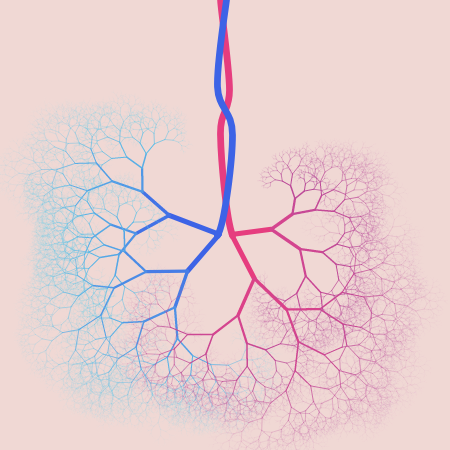 capillary trees #25