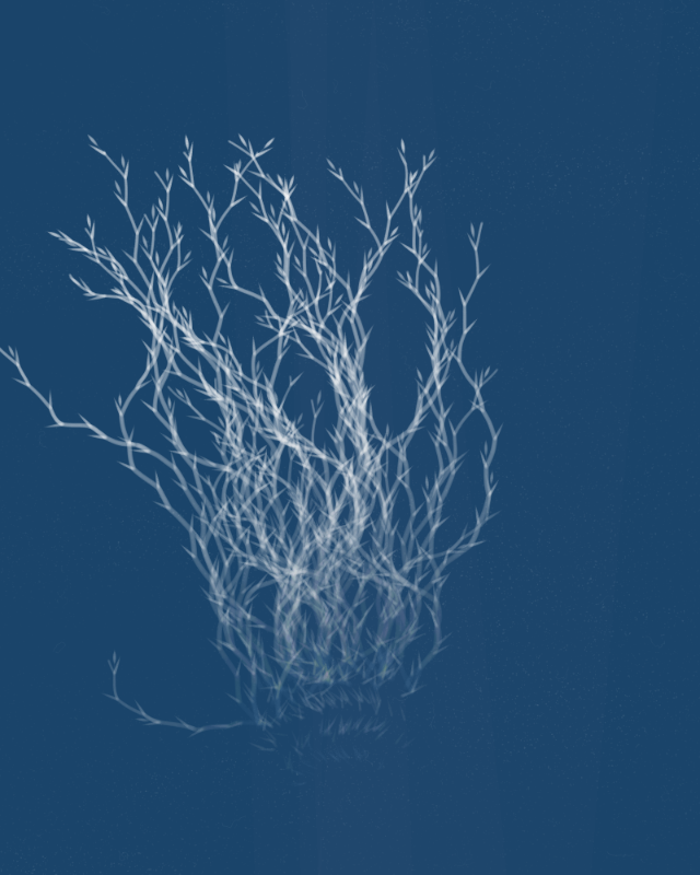 Cyanotypes #147